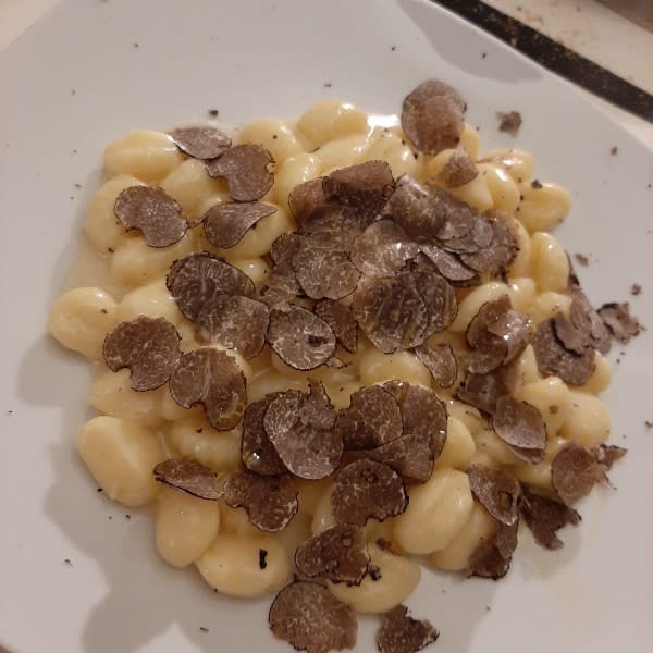 Gnocchetti al tartufo - Caffè Pitti, Florence