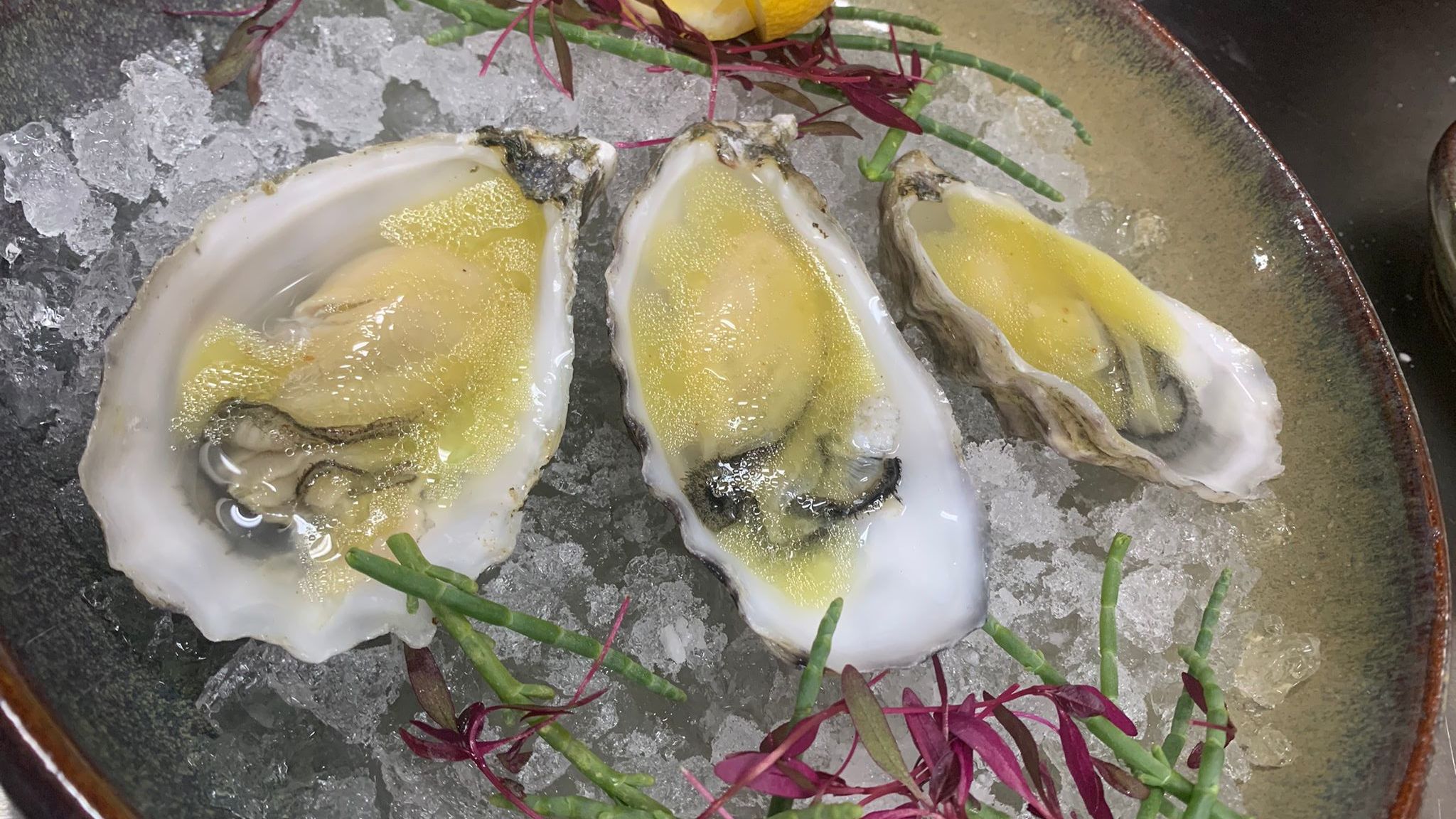 Olive Bistro & Gastro Bar in Albufeira Restaurant Reviews, Menu and