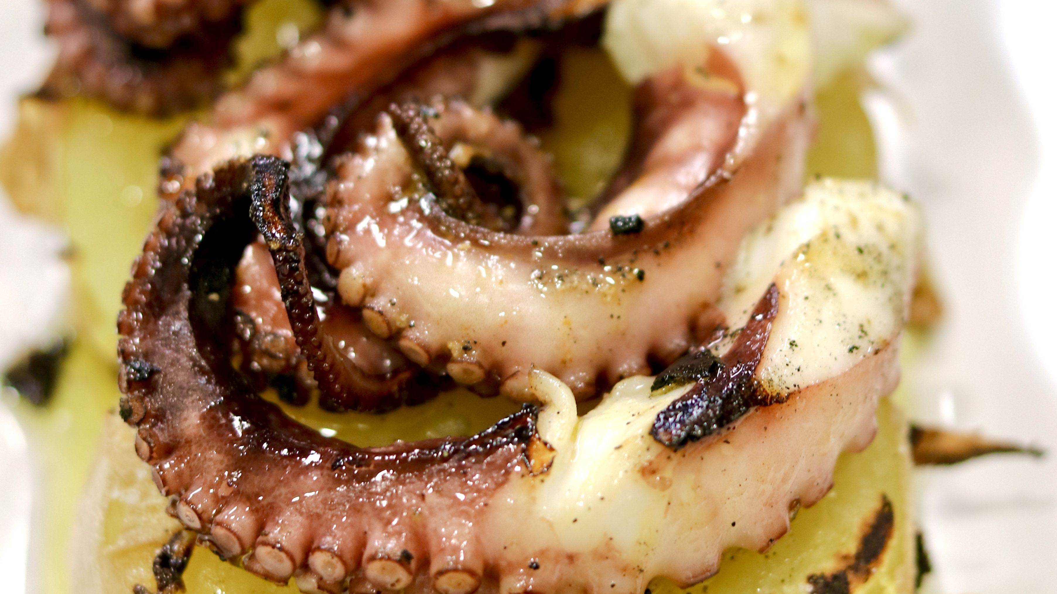 Polpo in Umido alla Siciliana (Sicilian Stewed Octopus) - Our