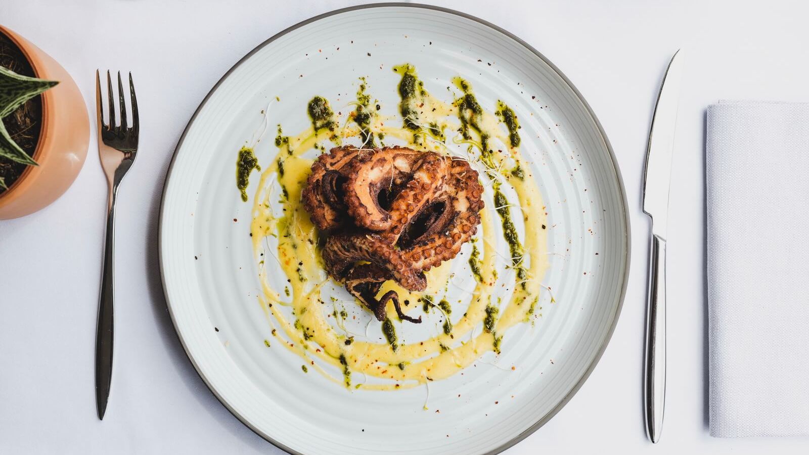 Carta y menù 2022 Actualizados Vivo en CagnessurMer TheFork