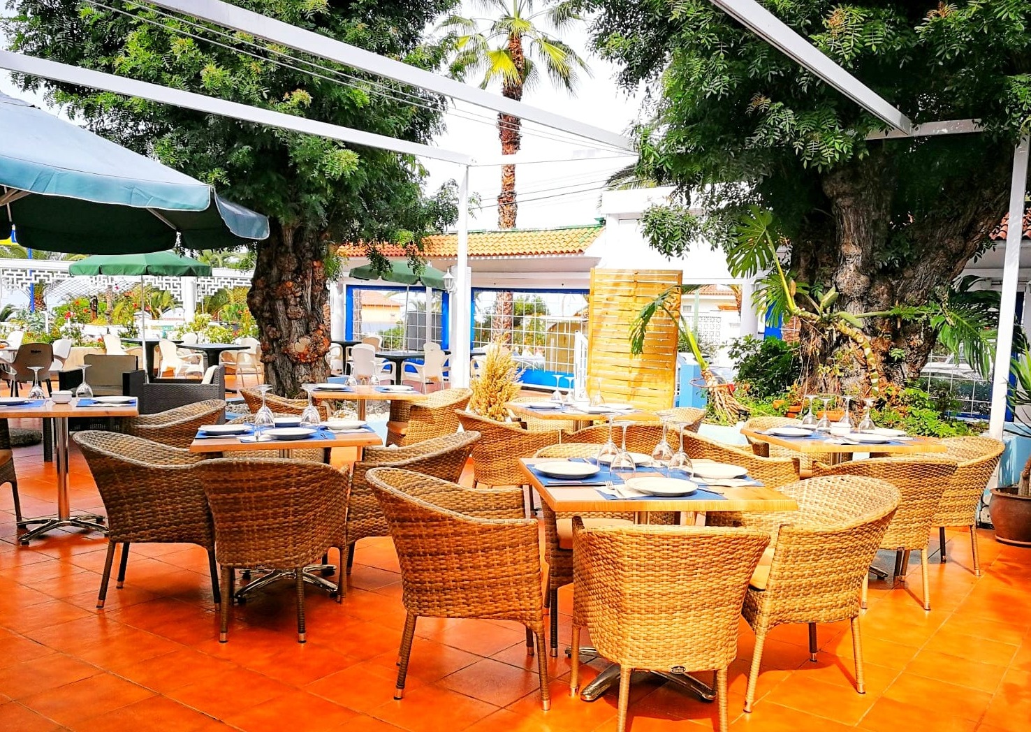 Opiniones El Rey de las tortillas en Puerto De La Cruz ElTenedor