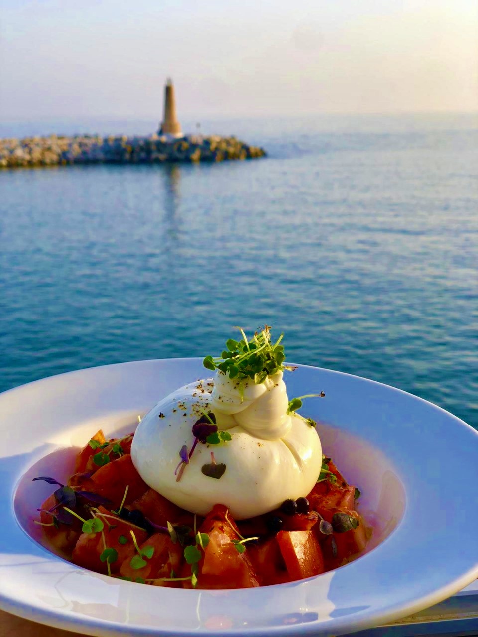 Menu 2022 Martini Bar by Dolce & Gabbana in Marbella TheFork