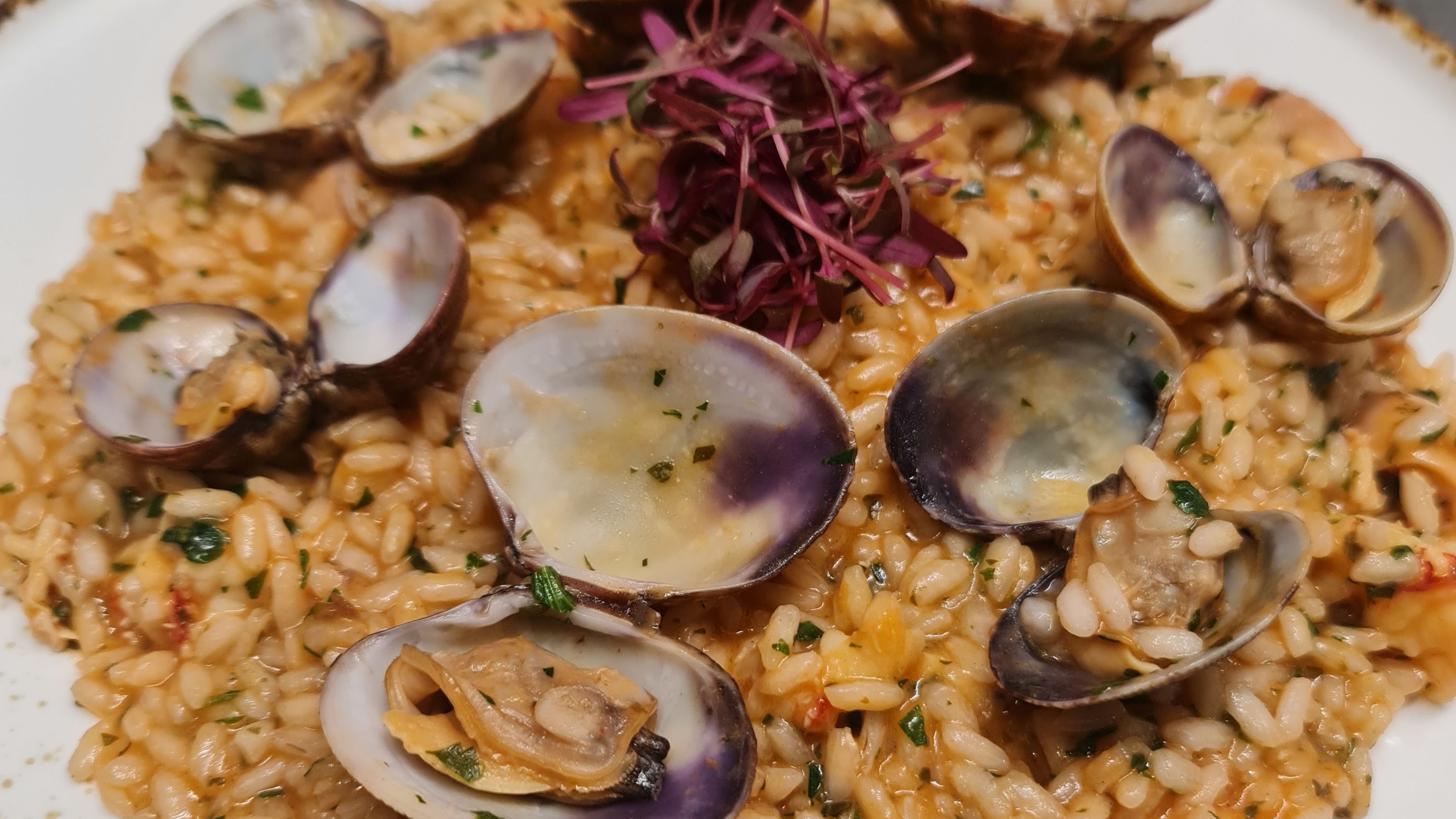 Fitzroy Wine Cellar & Kitchen in London, Marylebone Restaurant