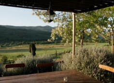 Locanda Del Gallo In Chianni Restaurant Reviews Menu And Prices Thefork