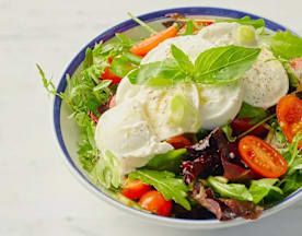 Verse salade met een mix van bladgroenten, waaronder romaine en rucola, gegarneerd met gehalveerde cherrytomaten en dunne plakjes paprika. In het midden bevinden zich twee romige burrata-ballen, wat een rijke textuur toevoegt. De salade is afgewerkt met een takje basilicum en een scheutje dressing voor een hint van kruidige frisheid.