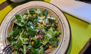 Salade la Causette  - La Causette, Cartigny