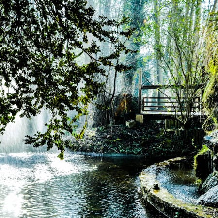 Les Jardins d'Épicure - Restaurant, Bray-et-Lû