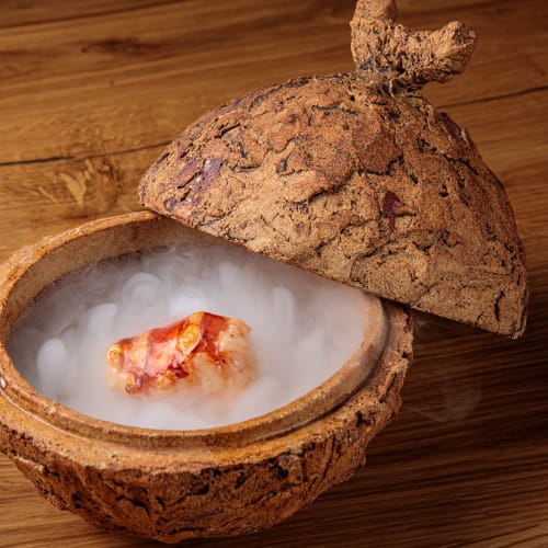 Cobo Evolución image 2