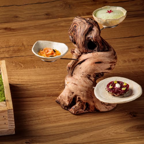 Cobo Evolución image 4