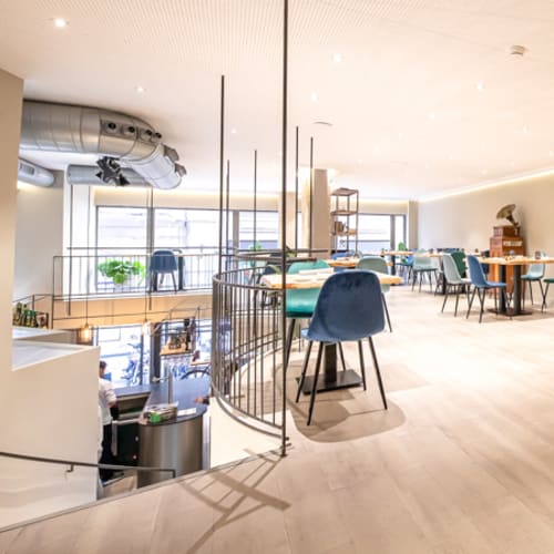 Almo de Juan Guillamón image 4