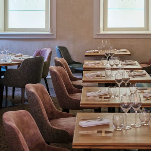 Loiseau des Ducs image 4