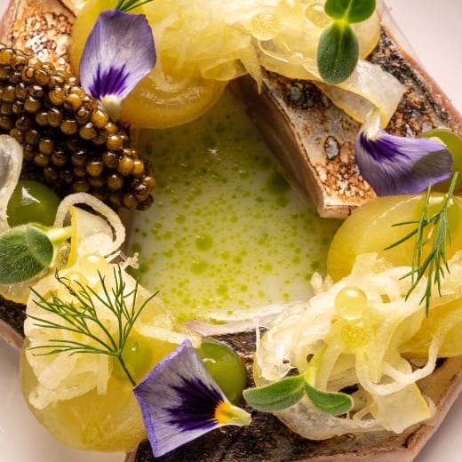 Menus 2024 - Dario&amp; in Aachen | TheFork