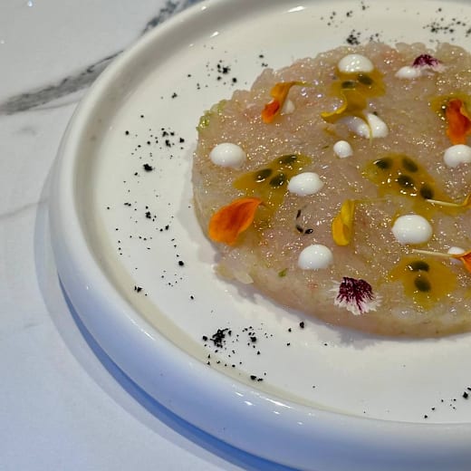 the-best-dog-friendly-restaurants-in-puerto-santa-gertrudis-de