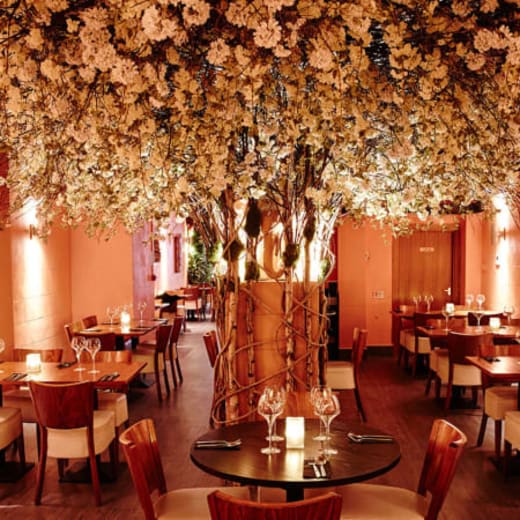 The Best Thai Restaurants in Blackfriars & Temple, London TheFork