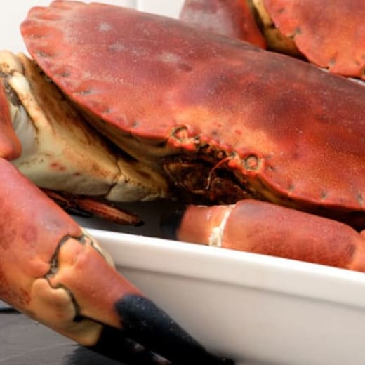 The Best Seafood platter Restaurants in Torquay TheFork