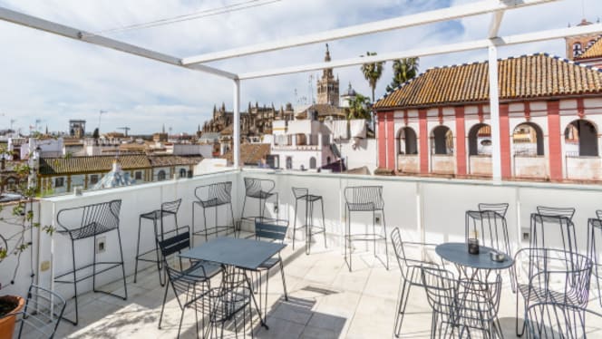 Sal Gorda , a restaurant you shouldn't miss in Seville 🇪🇸 