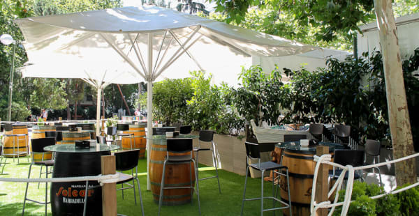 Terraza - Materia Prima, Madrid