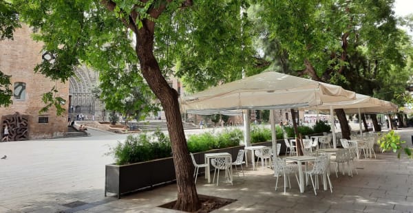 Restaurante Catedral 1951, Barcelona