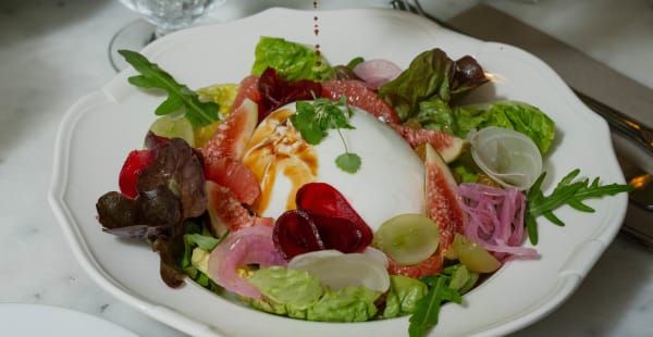 Burrata Salades - Cuppa Gallery, Paris