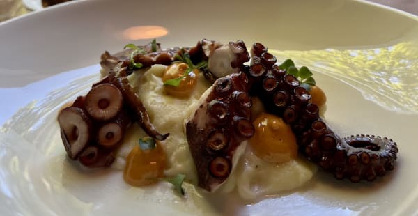 Pulpo a la Parrilla - La Dama, Barcelona