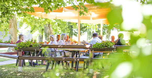 Terrasse à l'ombre dans le parc - Colladon Parc - restaurant bistronomique, Genève