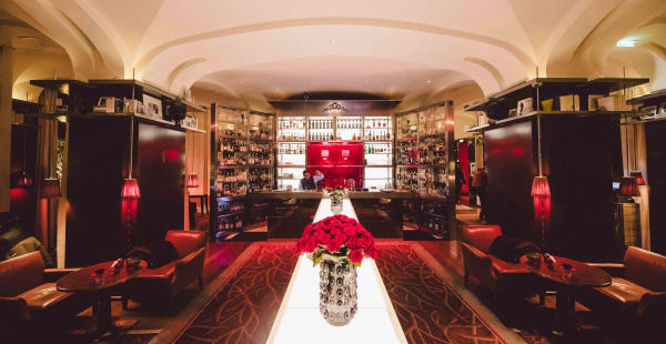 Le Bar Long - Le Bar Long - Le Royal Monceau - Raffles Paris, Paris