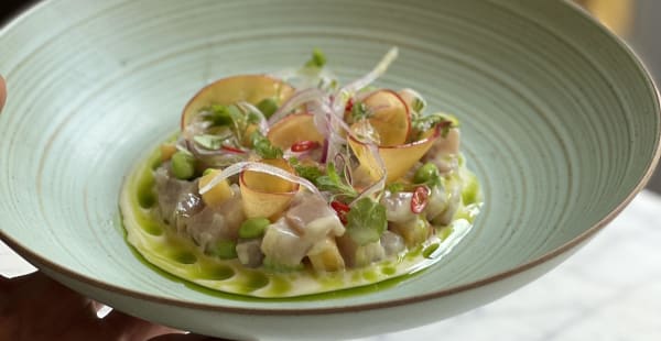 Ceviche di Ricciola - Cactus Kitchen&Bar, Milano