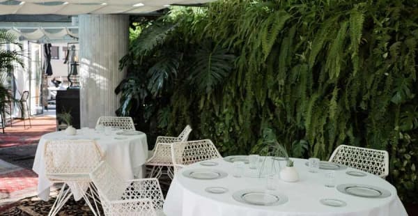 Restaurante - La Terraza del Claris - Hotel Claris, Barcelona