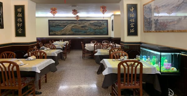 Interno - Chinese Restaurant Internazionale, Roma
