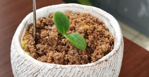 Tiramisù in vasetto - Dema Restaurant, Roma