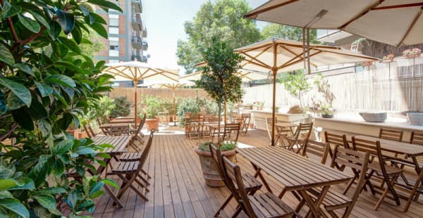 Bistrot Luce  garden - Bistrot Luce, Roma