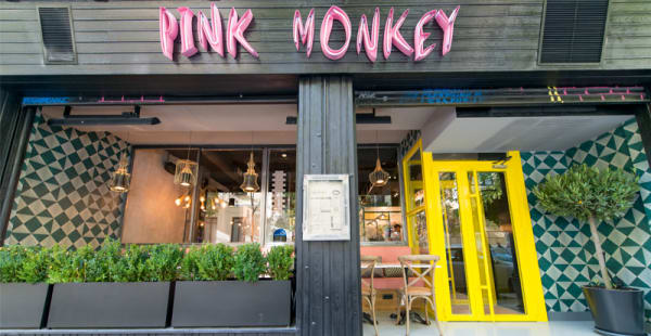 Pink Monkey, Madrid