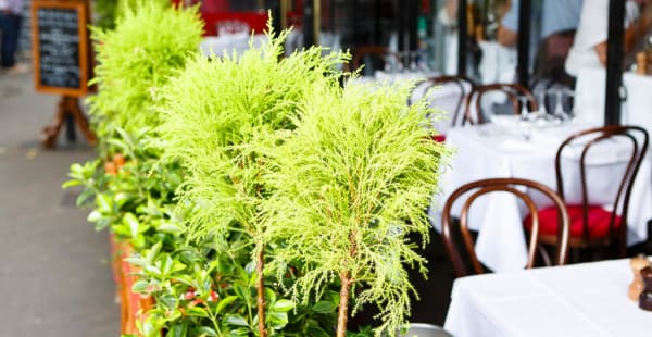 terrasse - Le Ballon des Ternes, Paris