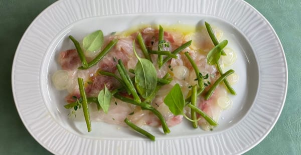 Carpaccio di spigola con fagiolini croccanti, lemon spinach  e gel al limone - Enotico, Roma