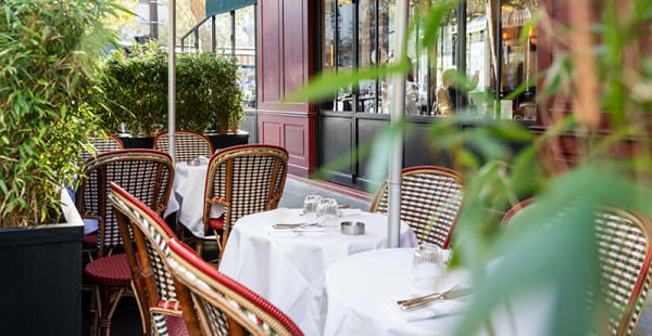 Brasserie Victor Hugo, café, restaurant, brunch et dîners festifs - Brasserie Victor Hugo Paris, Paris