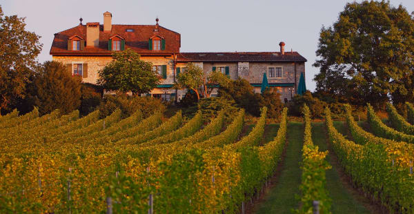 Domaine de Châteauvieux - Domaine de Châteauvieux, Satigny