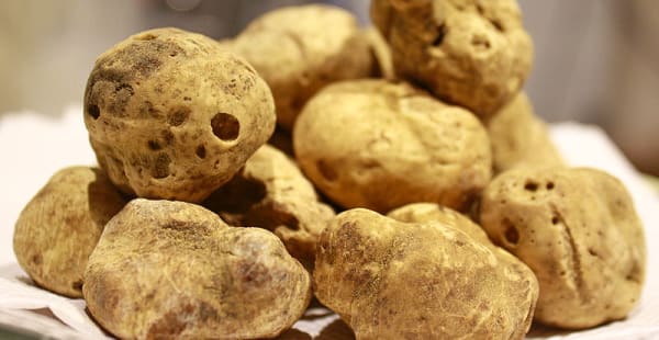 Tartufo bianco - 3Quarti Prati, Roma