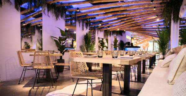 8 ideas de PACÍFICO en 2024  decoración de unas, patio de restaurante,  pacifico