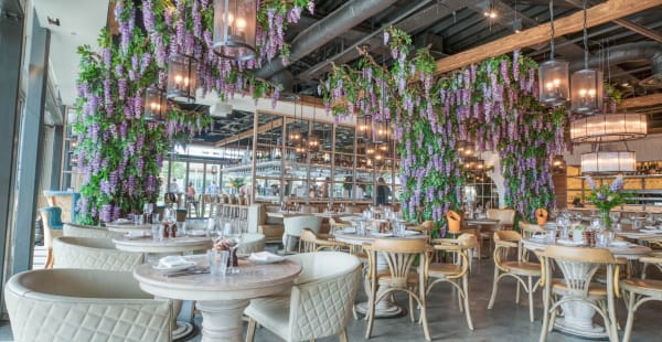 Victors Oxford in Oxford - Restaurant Reviews, Menus, and Prices | TheFork