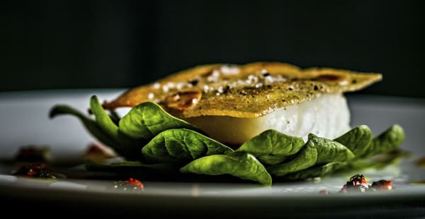 Merlan de ligne de Saint-Gilles-Croix-de-Vie, en croûte de pain de mie imprimé aux amandes,tétragone mi-cuite relevée à l’huile de curry et péquillos - Epicure - Le Bristol Paris, Paris