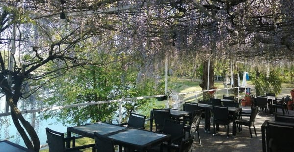 Oasi Lago dei Cigni, Milano