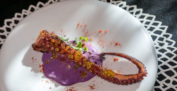 Tentáculo de pulpo á feira con espuma de patata violeta - B Lounge - Hotel Barceló Raval, Barcelona