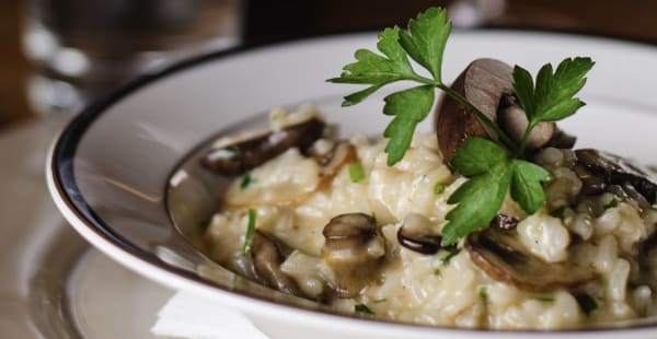 Risotto de cogumelos  - Terrace Caxias, Caxias