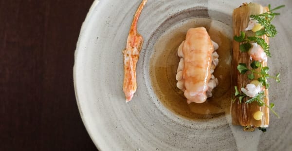 Langoustine, cervelle de veau, poireau, condiment citron, cardamine - Restaurant Magma, Paris