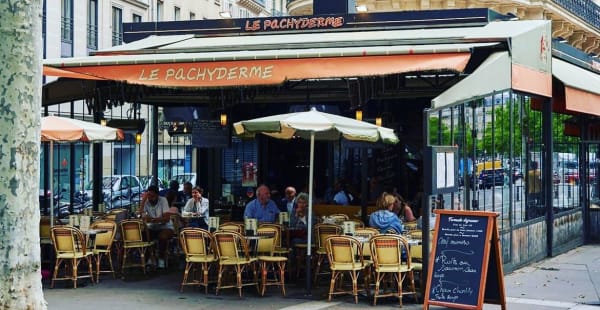 Le Pachyderme, Paris