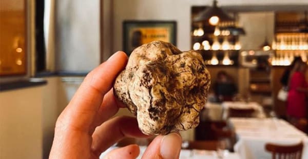 TARTUFO BIANCO - Arancio D'Oro, Roma