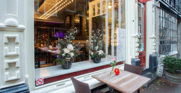 Terras - Seasons, Amsterdam