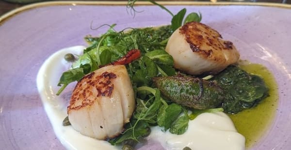 Ecco Vino in Edinburgh Restaurant Reviews Menus and Prices