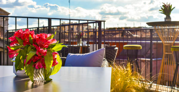 Terrazza Navona, Roma