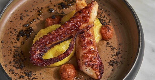 Pulpo al mojo picón - Le Bouchon , Barcelona